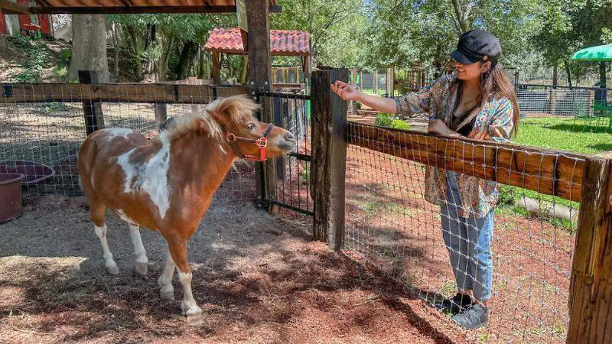 Zoológico del Altiplano (4)